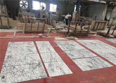 Κίνα Επί παραγγελία 60x60cm κεραμίδια λοξοτμήσεων πατωμάτων μεγέθους φυσικά πέτρινα άσπρα μαρμάρινα  προμηθευτής