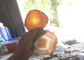 Γυαλισμένη φυσική πέτρινη τεχνών ωοειδής μορφή φετών αχατών πέτρινη για τους ακτοφύλακες τσαγιού προμηθευτής